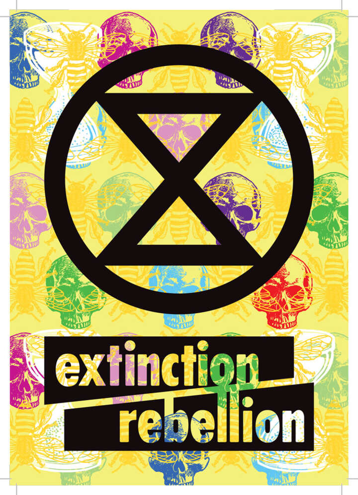 Coloured skulls and XR logo pdf (new window)